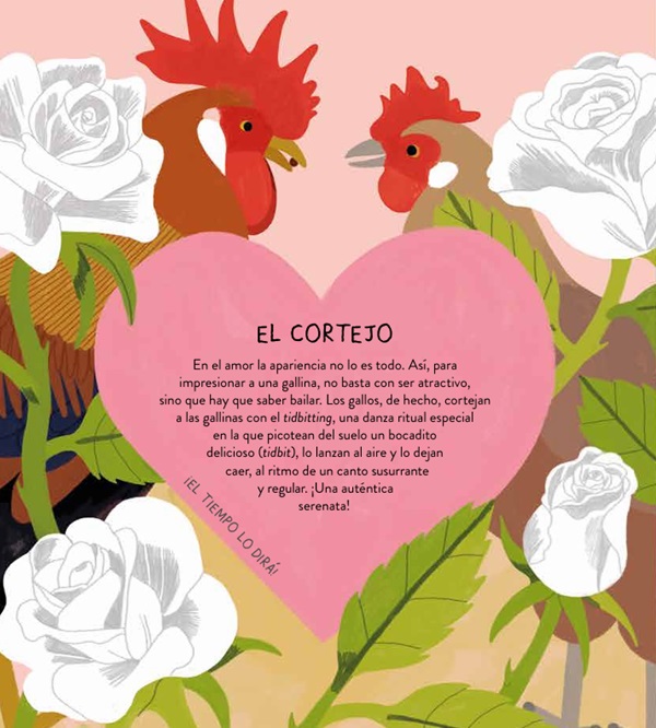 Ilustración de GALLINARIO