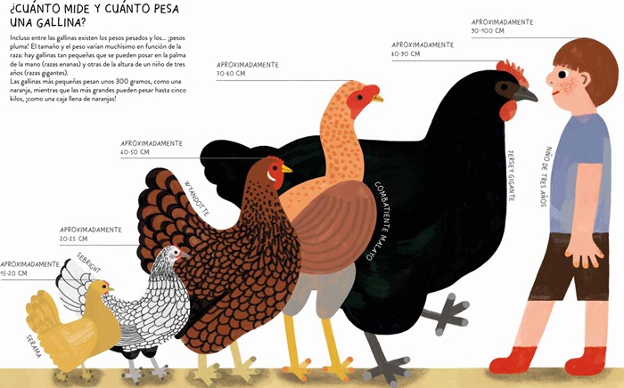 Ilustración de GALLINARIO