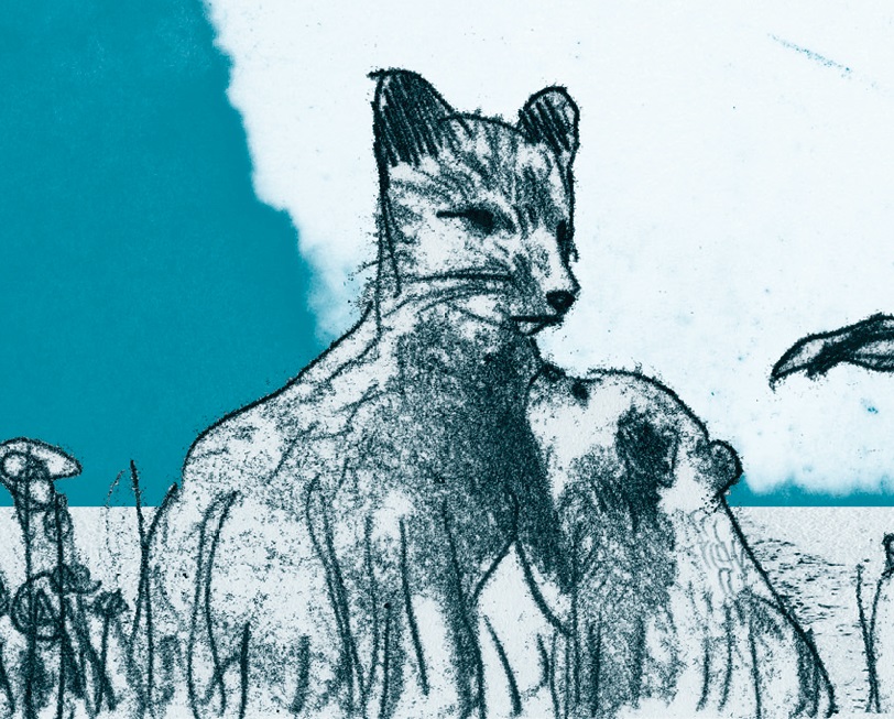 Ilustración de LEILA Y LA ZORRA AZUL