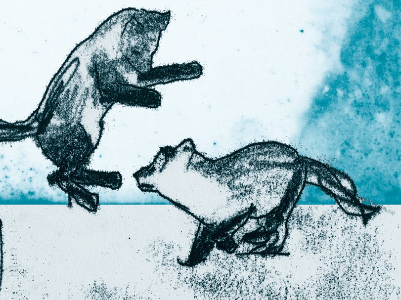 Ilustración de LEILA Y LA ZORRA AZUL