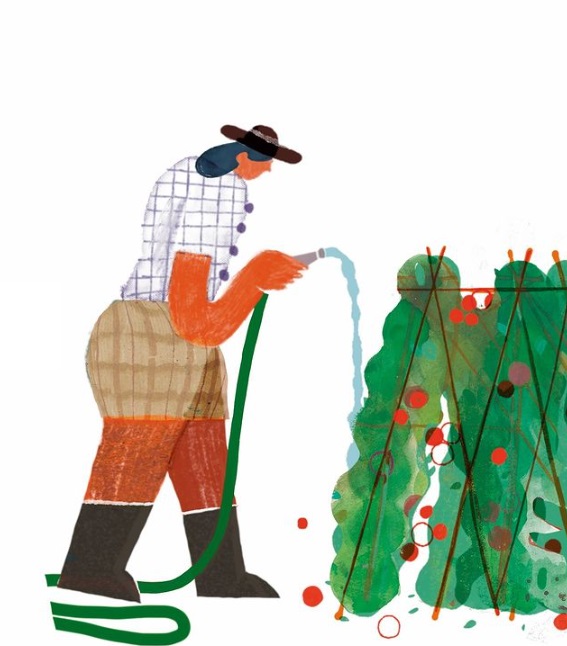 Ilustración de Tiempo de cosecha. Un año en el huerto