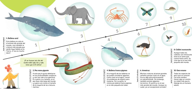 Ilustración de ¿Quién es el primero? Rankings animales