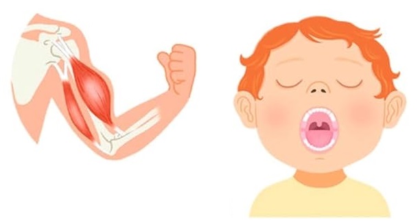 Ilustración de El gran libro del cuerpo humano