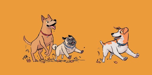 Ilustración de PATAS