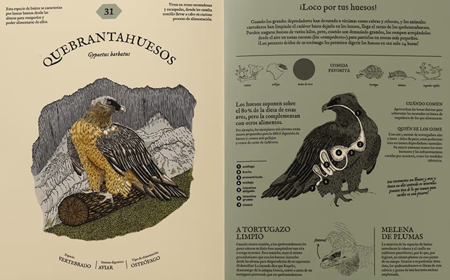 Ilustración de COMEPEDIA