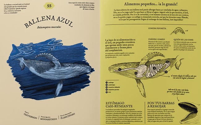 Ilustración de COMEPEDIA