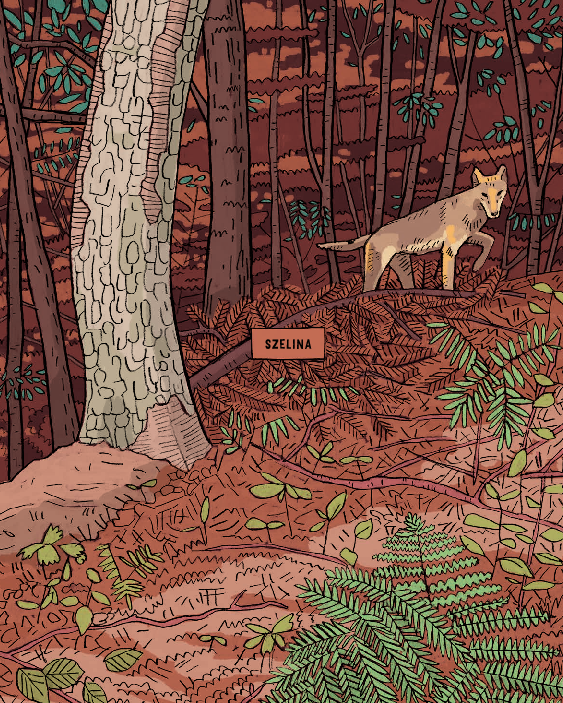 Ilustración de LOBOS