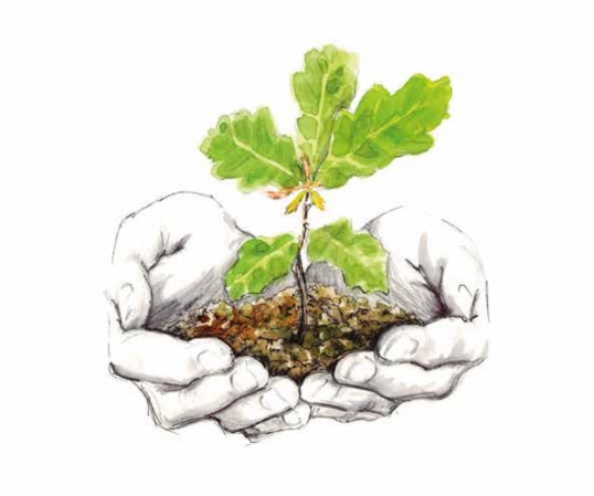 Ilustración de Plantar el mundo