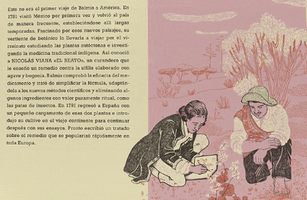 Ilustración de La vaca, el médico y el hijo del jardinero