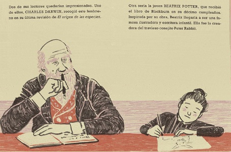 Ilustración de La vaca, el médico y el hijo del jardinero