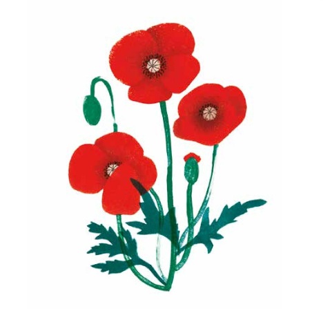 Ilustración de UN PAISAJE UNA FLOR