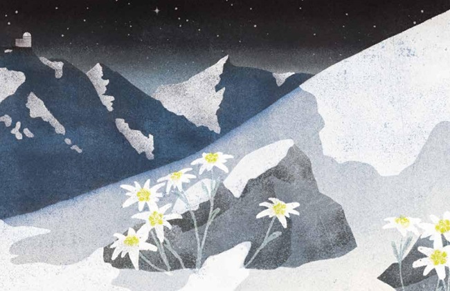 Ilustración de UN PAISAJE UNA FLOR