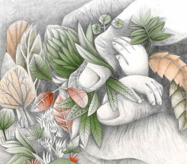 Ilustración de Las manos de mi abuela