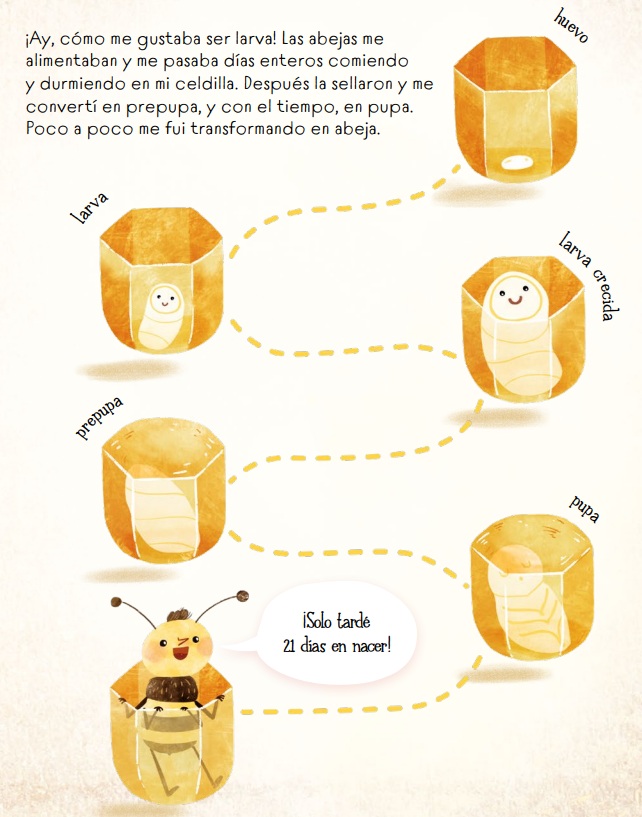 Ilustración de Diario de una abeja