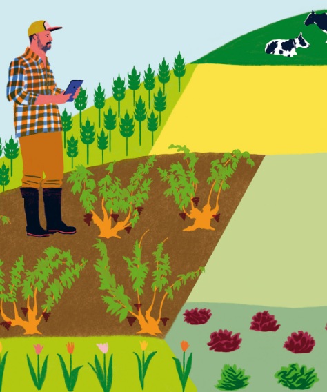 Ilustración de EL SALTO DE LA RANA