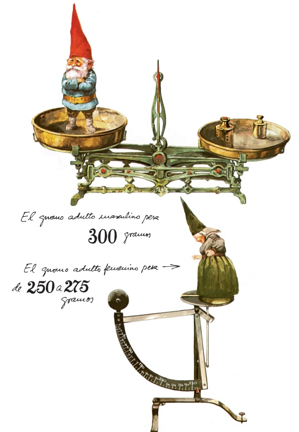 Ilustración de LOS GNOMOS