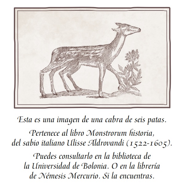 Ilustración de Una librería en el bosque