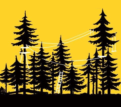 Ilustración de LOBO