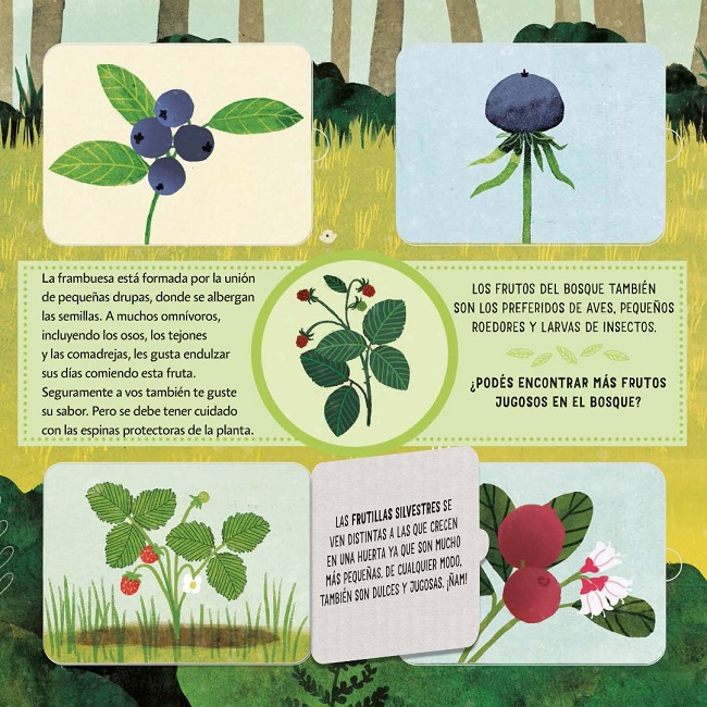 Ilustración de ¿QUÉ CRECE AQUÍ?