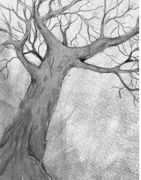 Ilustración de El bosque de los mil ojos