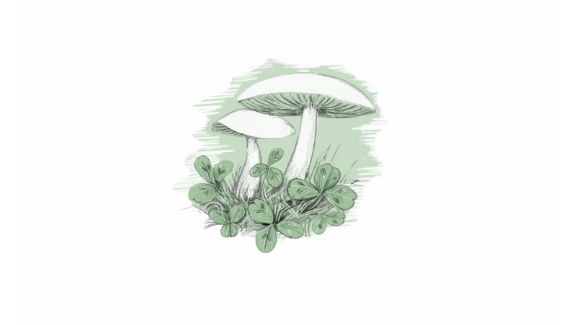 Ilustración de El bosque de los mil ojos