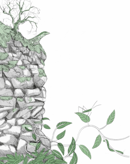 Ilustración de El bosque de los mil ojos