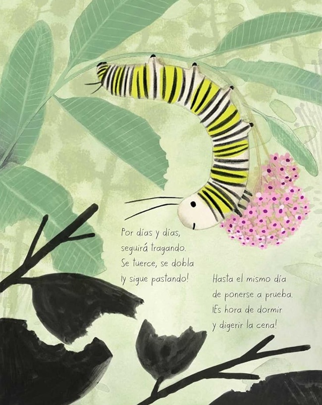 Ilustración de La mariposa monarca