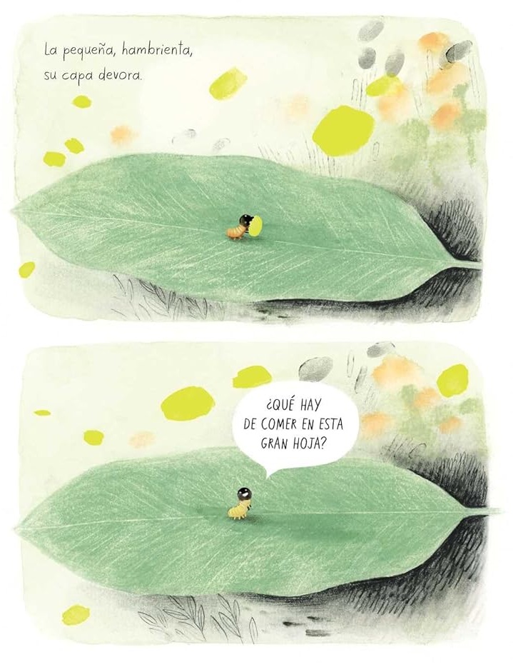 Ilustración de La mariposa monarca