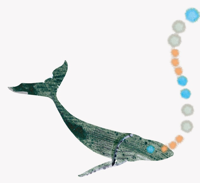Ilustración de El canto de las ballenas