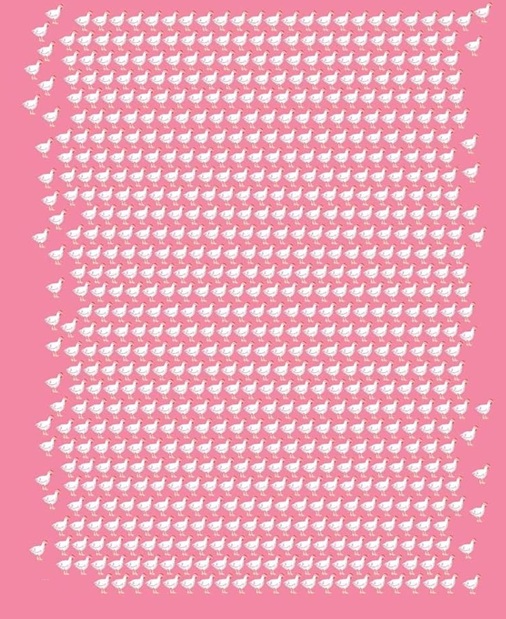 Ilustración de Toda la carne en el asador