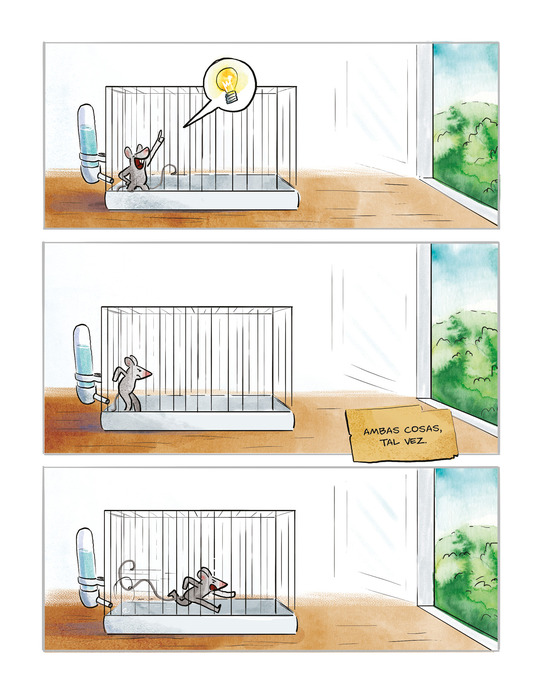 Ilustración de PIN, PAN Y PUN