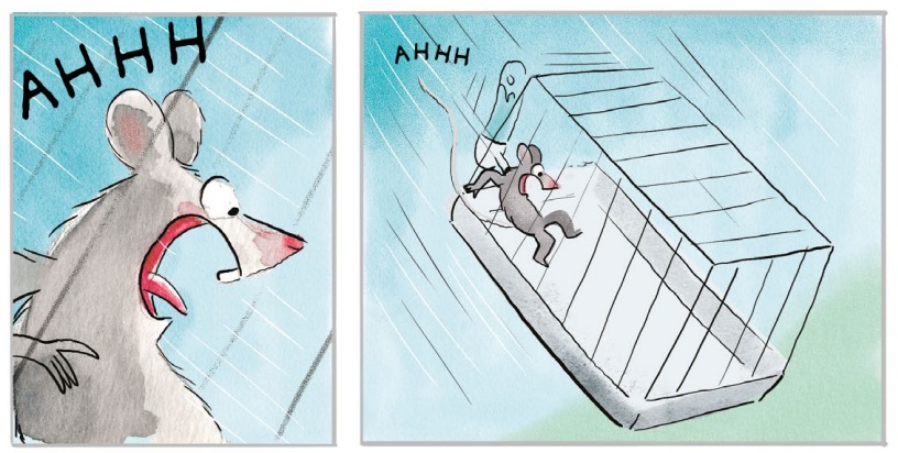 Ilustración de PIN, PAN Y PUN