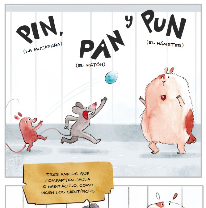 Ilustración de PIN, PAN Y PUN