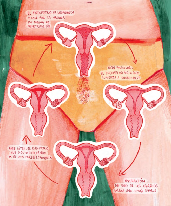 Ilustración de Menstruacion en marcha