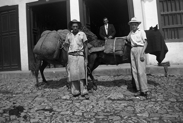 Imagen 1 de El Instituto Caro y Cuervo expone en Madrid la riqueza lingüística de Colombia