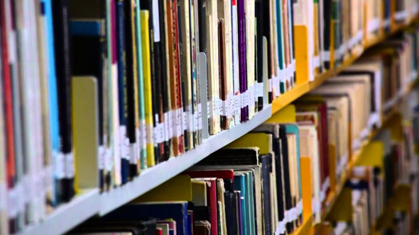 Imagen 1 de El buen trabajo bibliotecario tiene premio