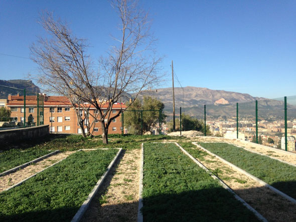 Imagen 1 de ¿Agricultura y literatura?