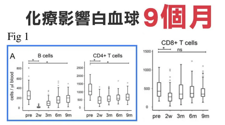 化療影響白血球9個月，你的白血球不是原來的白血球