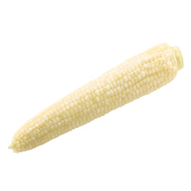 can dogs eat corn cob