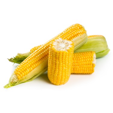 can dogs eat sweet corn