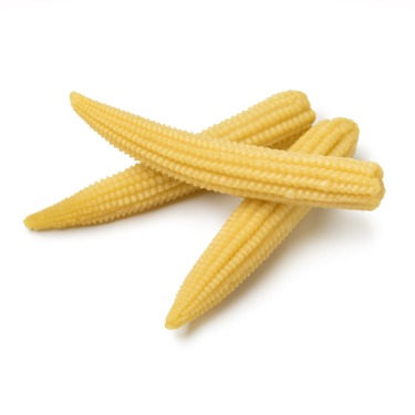 can dogs eat baby corn