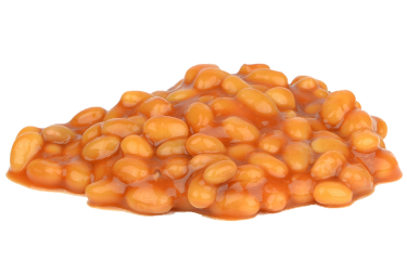 can dogs eat baked beans