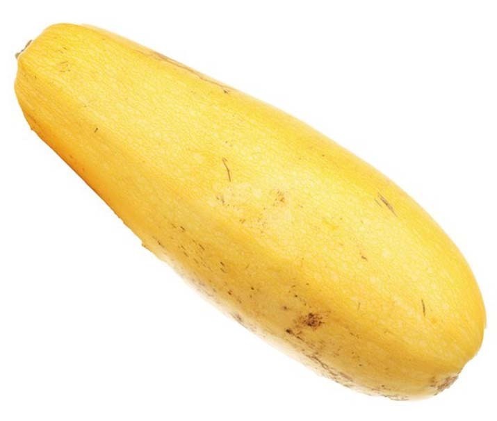 can dogs eat banana squash