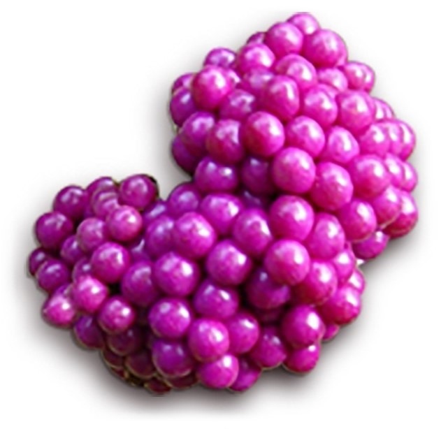 can dogs eat beautyberries