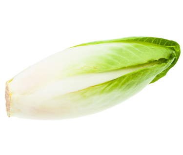 can dogs eat belgian endive