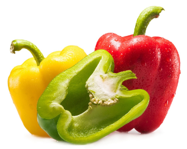 can dogs eat bell peppers