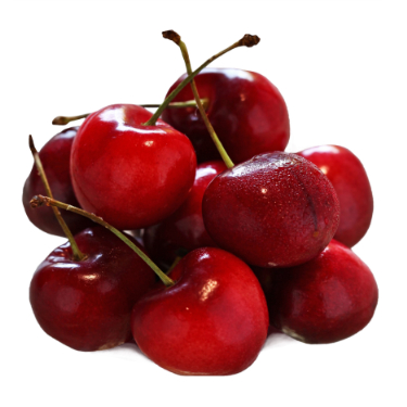 can dogs have bing cherries