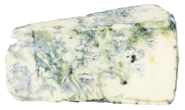 can dogs eat blue cheese