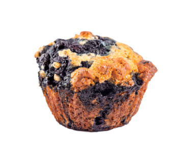 can dogs eat blueberry muffins