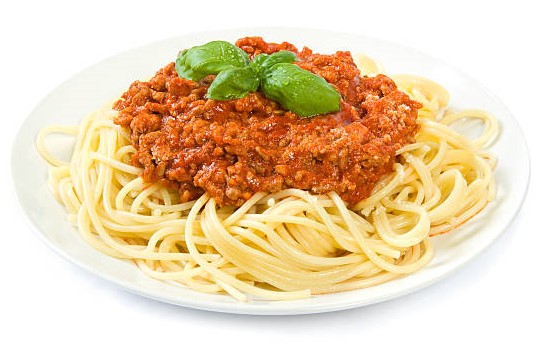 can dogs eat bolognese